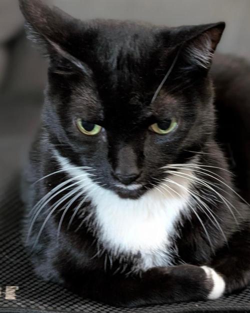 FEM 11 Photo Tester. Week 0 - 10-24
Nova