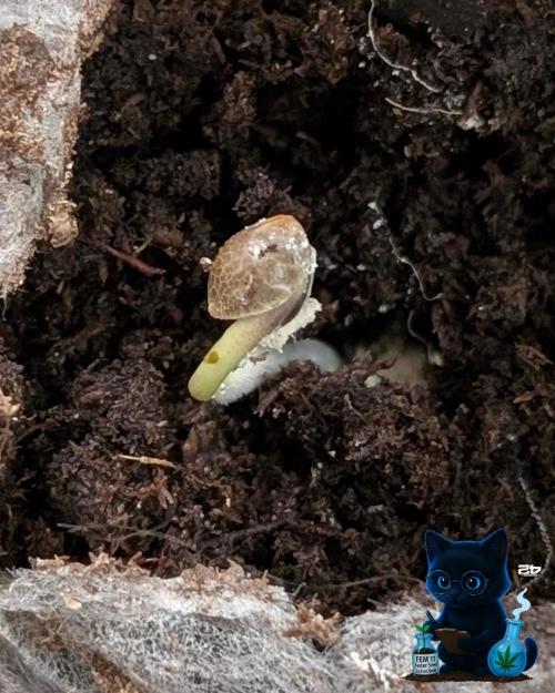 FEM 11 Photo Tester. Week 0 - 10-24