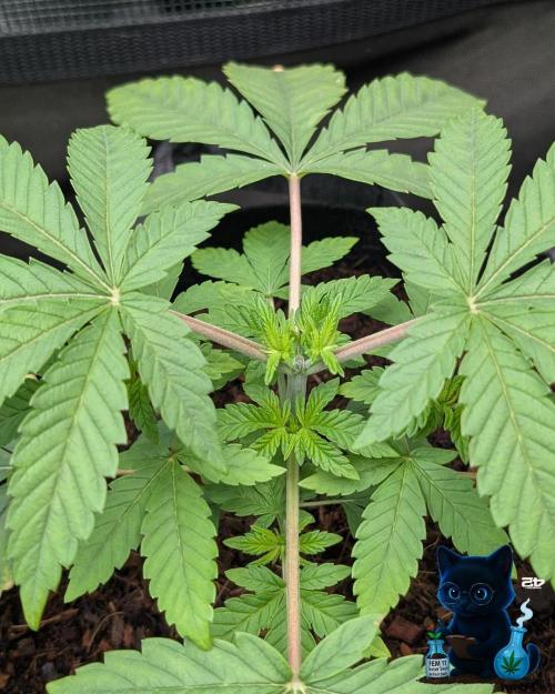 FEM 11 Photo Tester. Week 4 - 11-20
Day 27