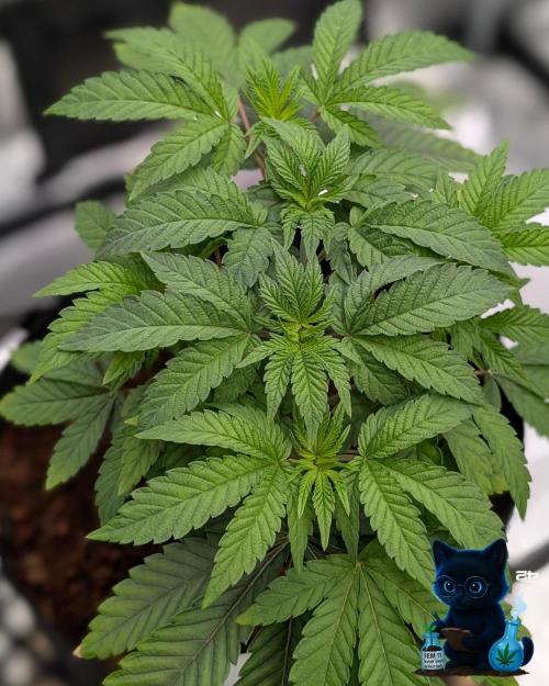 FEM 11 Photo Tester. Week 5 - 11-27
Day 34