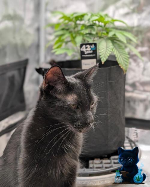 FEM 11 Photo Tester. Week 5 - 11-27
Day 34