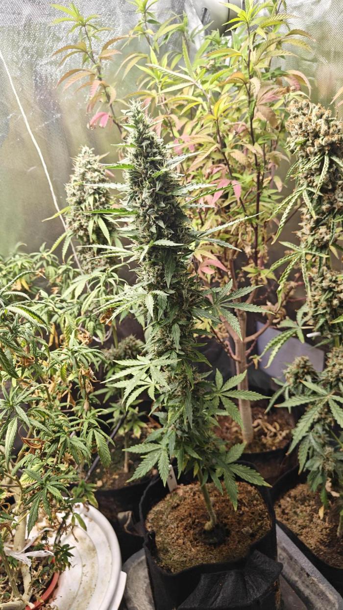 Freaky stuff. Week 10