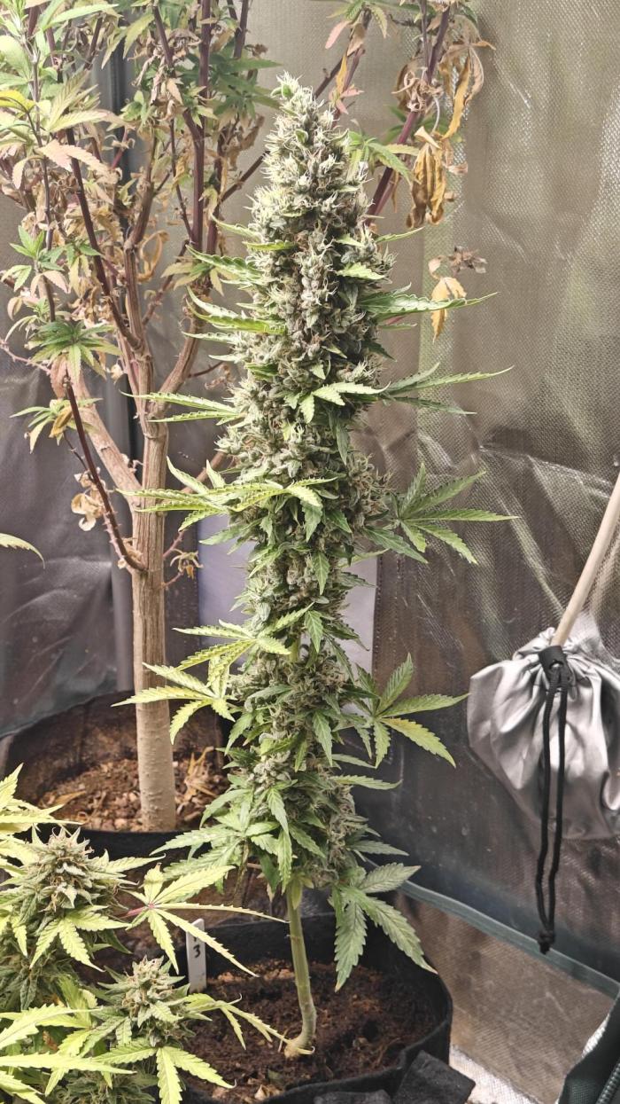 Freaky stuff. Week 13