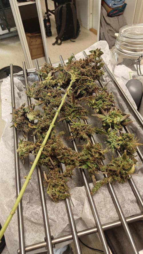 Freaky stuff. Week 20