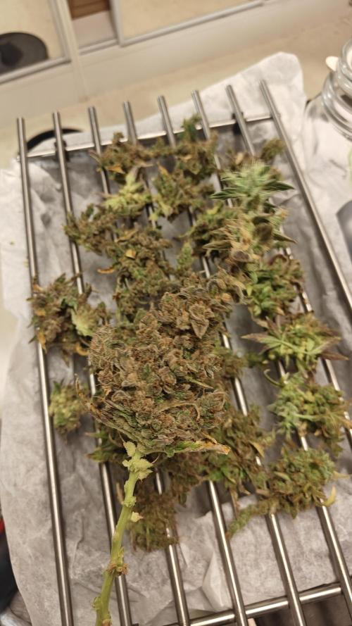 Freaky stuff. Week 20