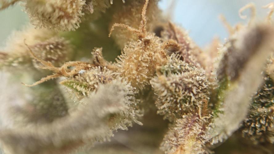 Freaky stuff. Week 20