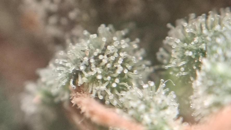 Freaky stuff. Week 20