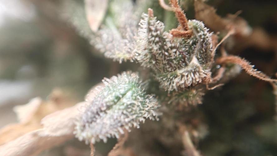 Freaky stuff. Week 20