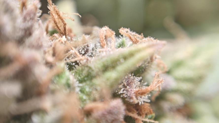 Freaky stuff. Week 20