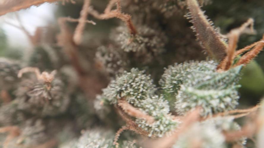 Freaky stuff. Week 20