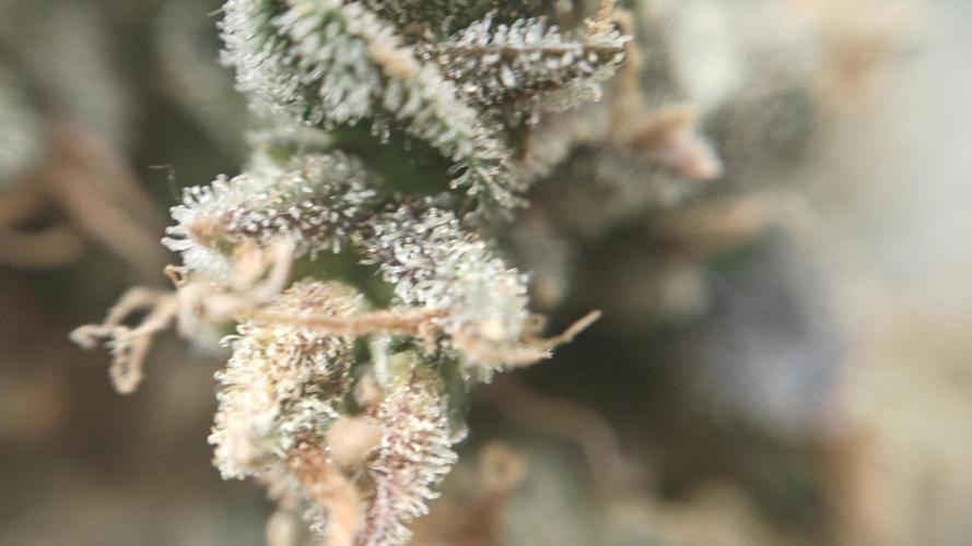 Freaky stuff. Week 20