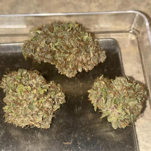 LSD 25 Auto - Fastbuds. Week 13