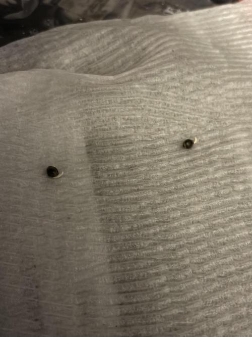 Perm Marker #1 and #2. Week 0