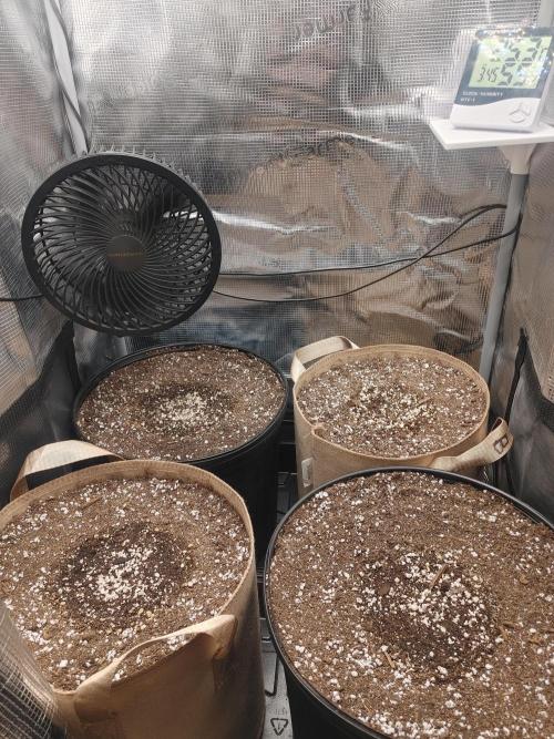 2 2x2's all HSO auto's. Week 0 - Germin