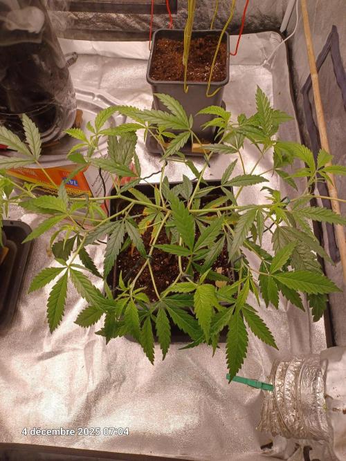 Vers l'inconnu et au-delà... Week 9