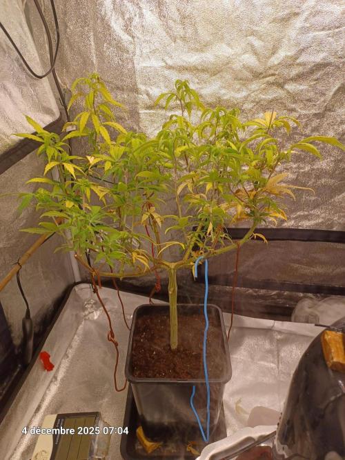 Vers l'inconnu et au-delà... Week 9