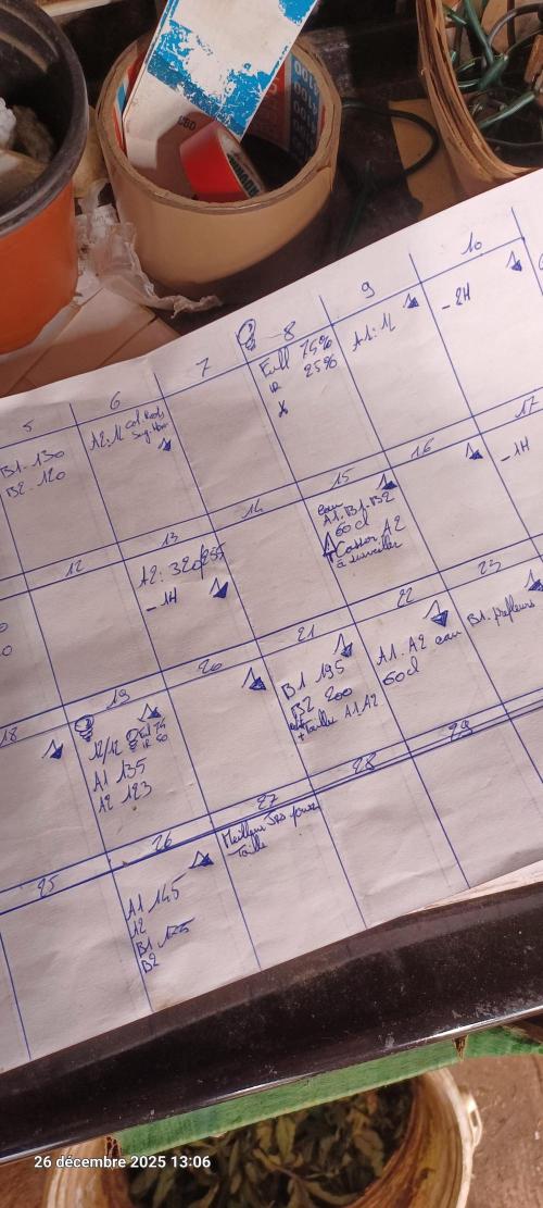 Vers l'inconnu et au-delà... Week 12