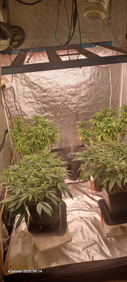 Vers l'inconnu et au-delà... Week 13