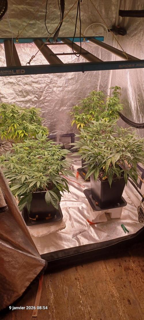 Vers l'inconnu et au-delà... Week 14