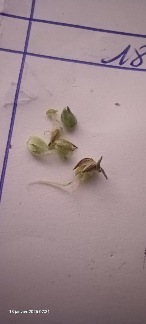 Vers l'inconnu et au-delà... Week 15