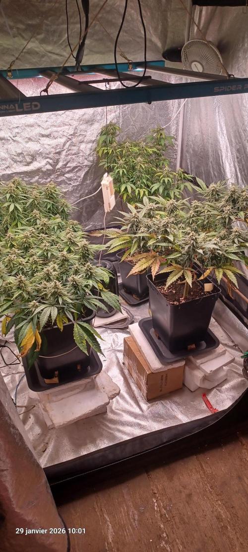 Vers l'inconnu et au-delà... Week 17