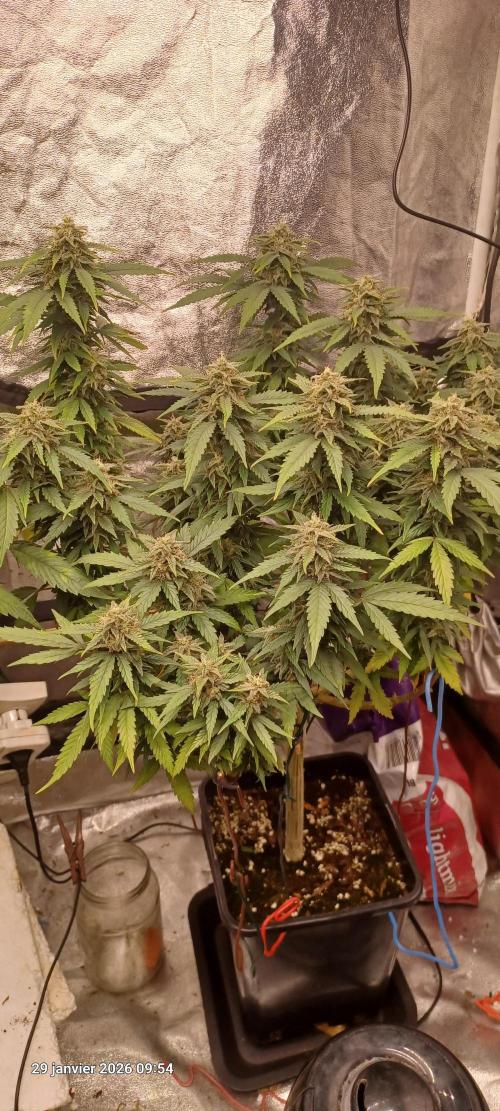 Vers l'inconnu et au-delà... Week 17