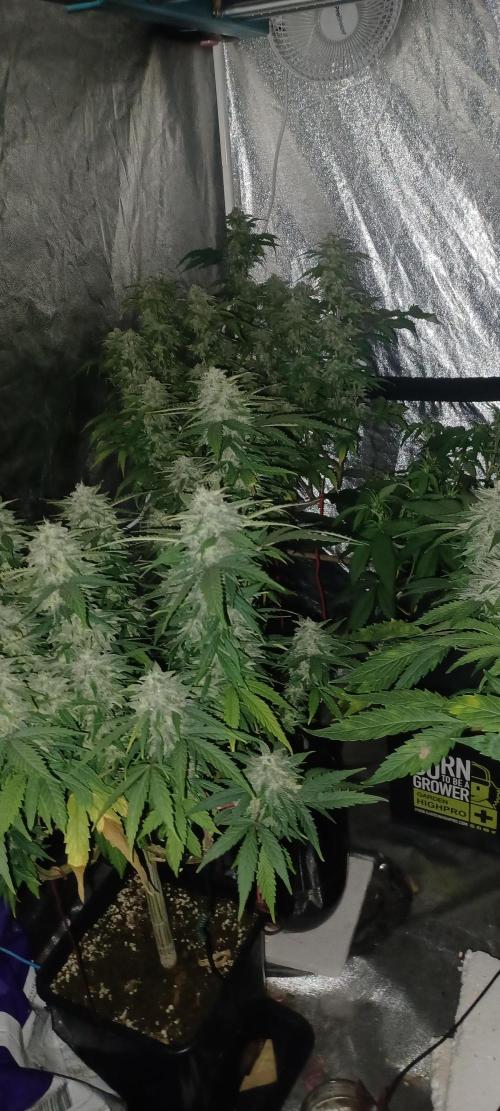 Vers l'inconnu et au-delà... Week 18