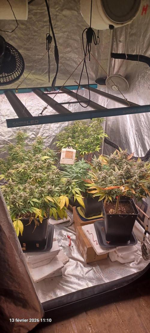 Vers l'inconnu et au-delà... Week 19