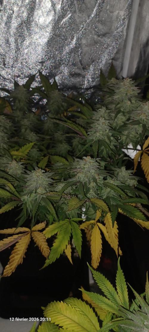 Vers l'inconnu et au-delà... Week 19