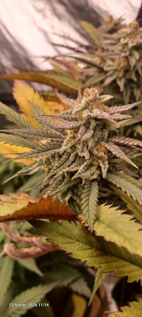 Vers l'inconnu et au-delà... Week 19