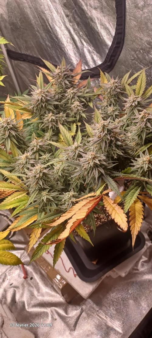 Vers l'inconnu et au-delà... Week 19