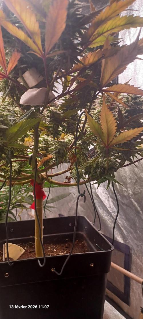 Vers l'inconnu et au-delà... Week 19