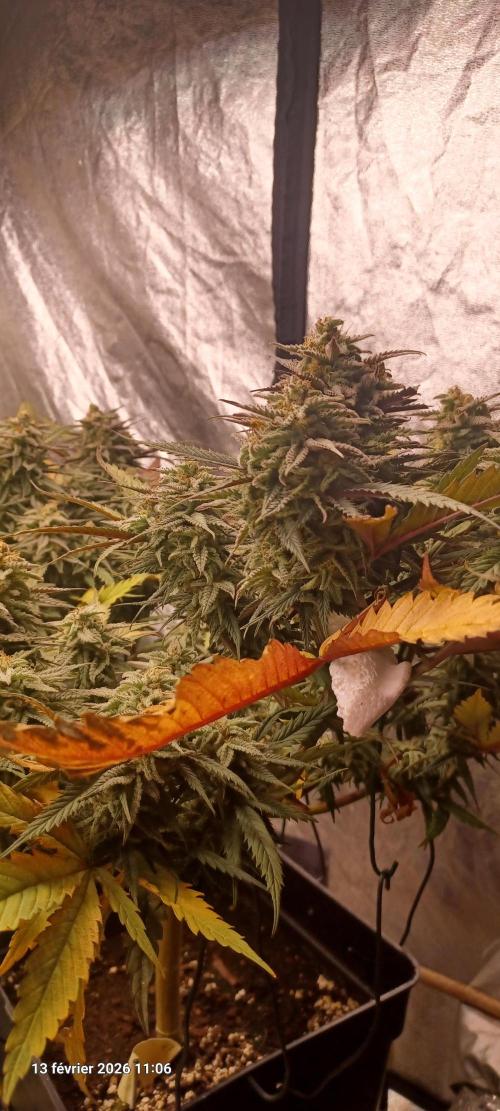 Vers l'inconnu et au-delà... Week 19