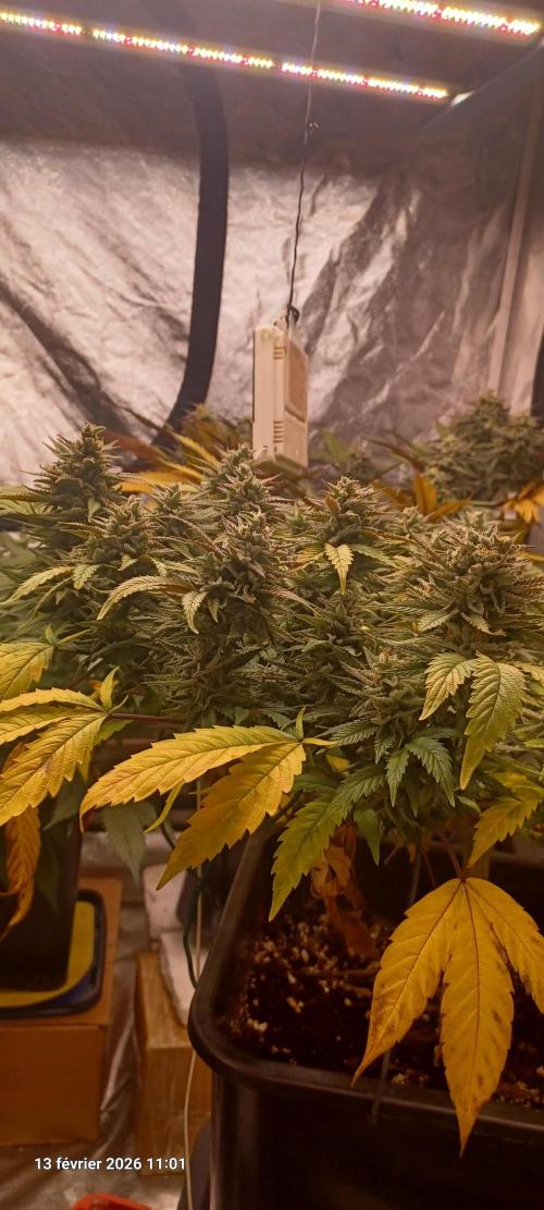 Vers l'inconnu et au-delà... Week 19