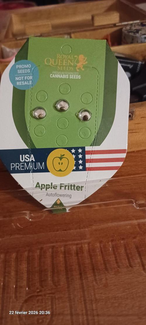 Appel Fritter Auto.. rQs. Week 0