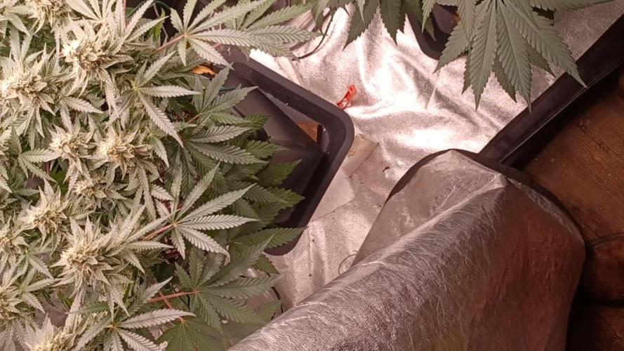 Wedding cake rQs