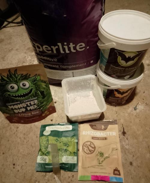 Skunk et Super Skunk Sensi Seeds. Week 1