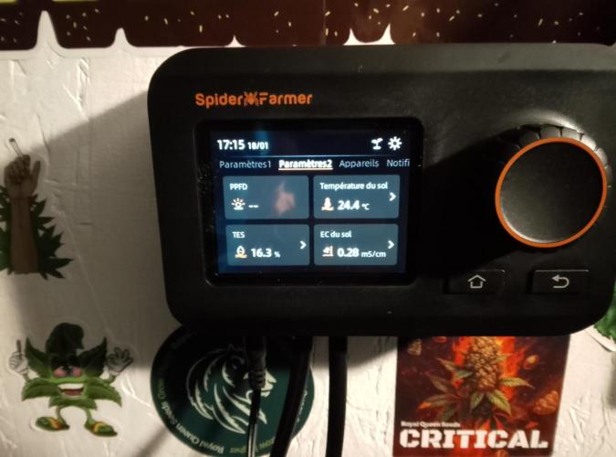 Skunk et Super Skunk Sensi Seeds. Week 2 - Control
Spider Farmer