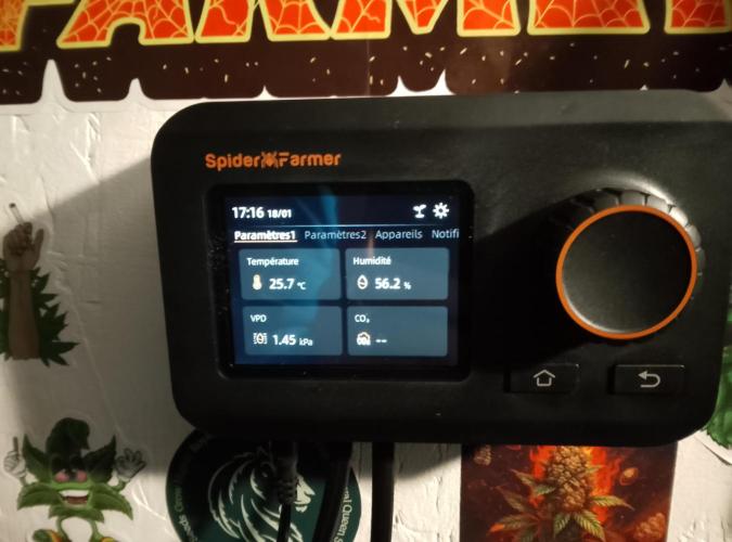 Skunk et Super Skunk Sensi Seeds. Week 2 - Control
Spider Farmer