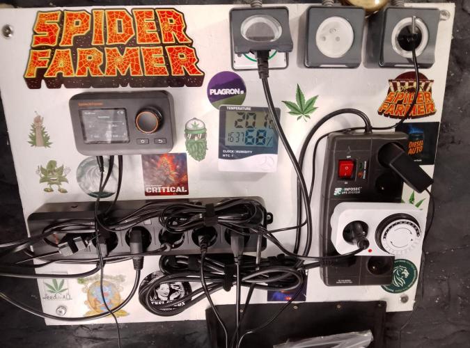 Skunk et Super Skunk Sensi Seeds. Week 2 - Mon tableau de control que je gère via une application sur mon portable