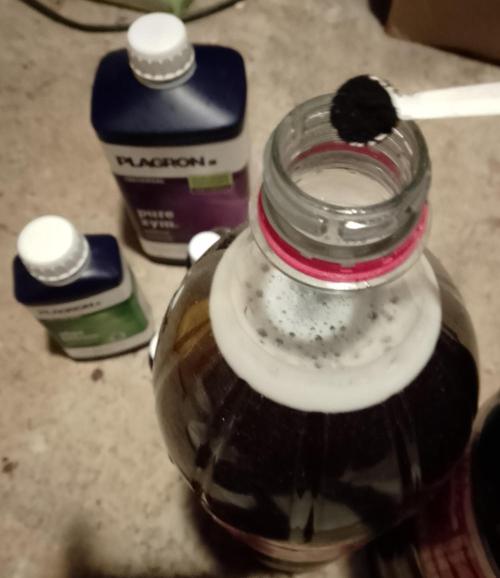 Skunk et Super Skunk Sensi Seeds. Week 7