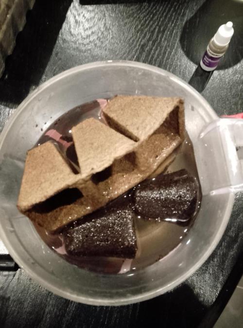 Ice Cream Cake Zamnesia. Week 0