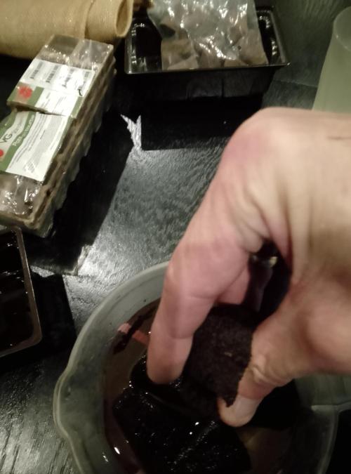 Jelly Cake Barney's Farm. Week 0