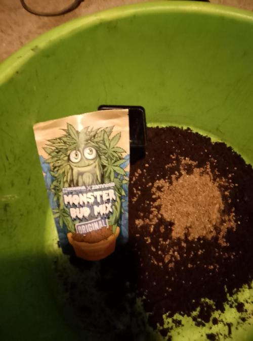 Jelly Cake Barney's Farm. Week 0