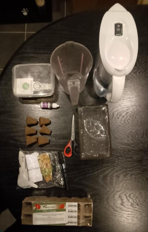 Slam Dank Sensi Seeds. Week 0