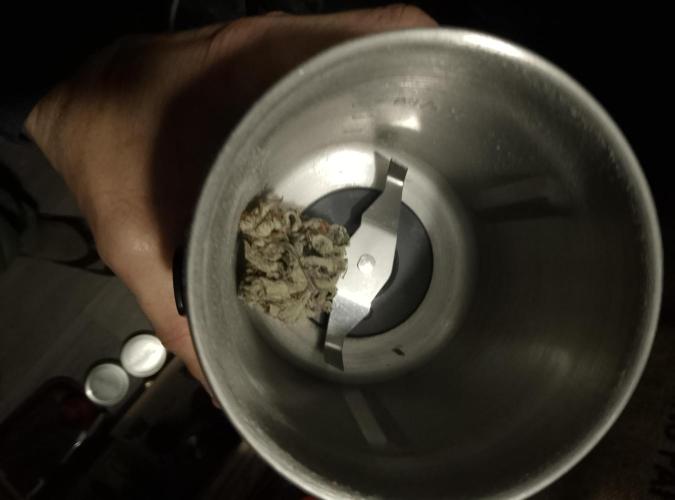 Skunk et Super Skunk Sensi Seeds. Week 13