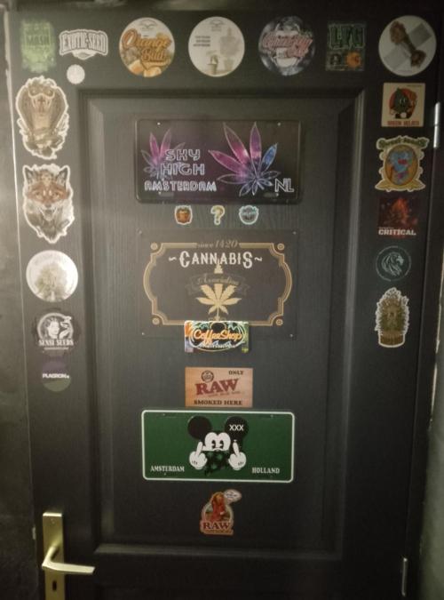 Moncherry Amsterdam genetics. Week 2