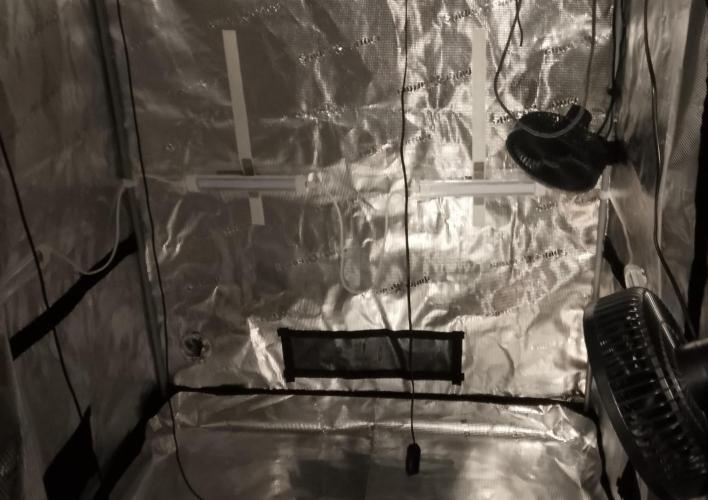 Ice Cream Cake Zamnesia. Week 3