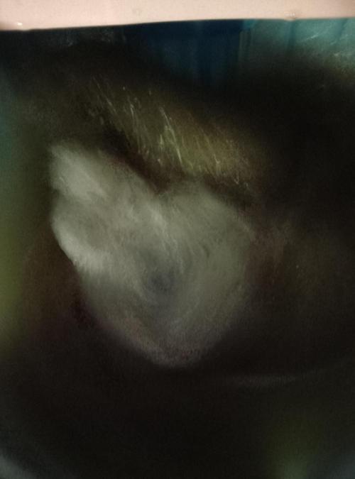 Skunk et Super Skunk Sensi Seeds. Week 15