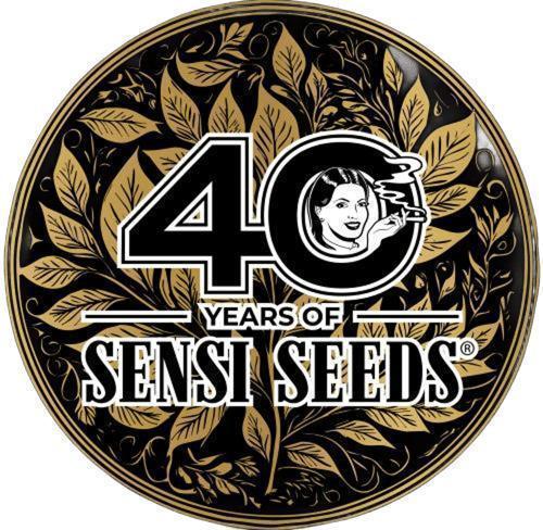 Sticky Berry Mints sensi seeds. Week 7
